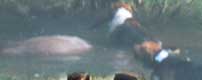 frontpage_11
